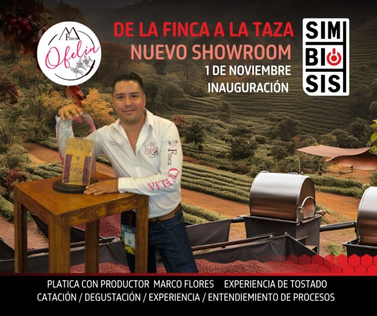 NUEVA CASA