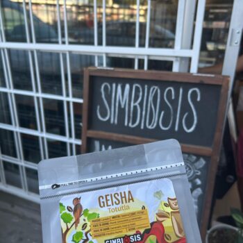 Geisha - Totutla